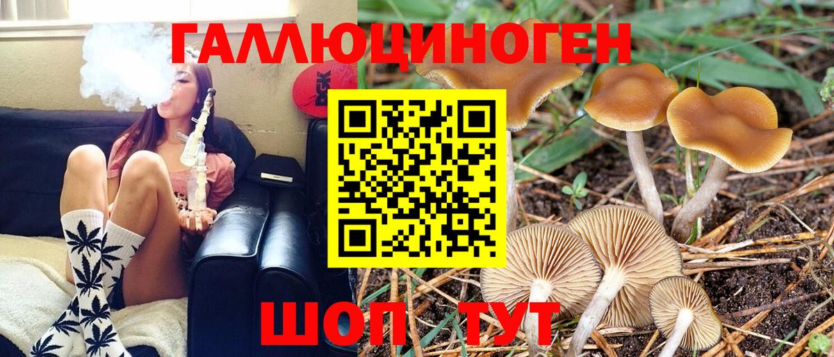 Псилоцибиновые грибы Psilocybine cubensis  Галлюциногенные грибы MAGIC MUSHROOMS  Вход с VPN  Новокуйбышевск 
